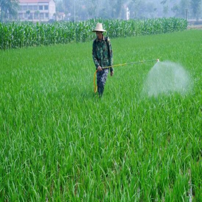 土壤農藥污染與微生物修復技術